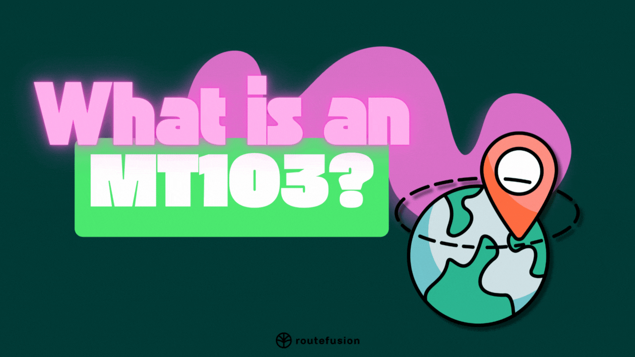 What's an MT103? 🧾
